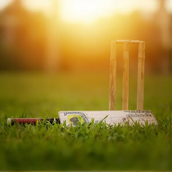 Cricket bat resting on grass